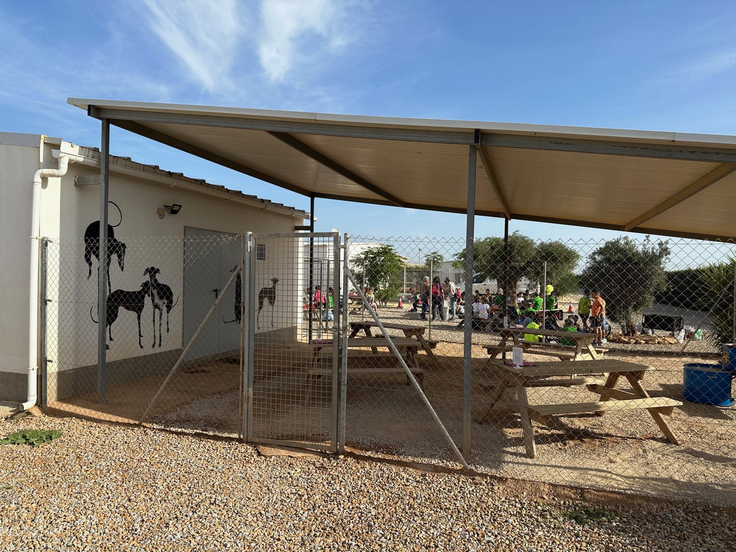 Galgos del sol
