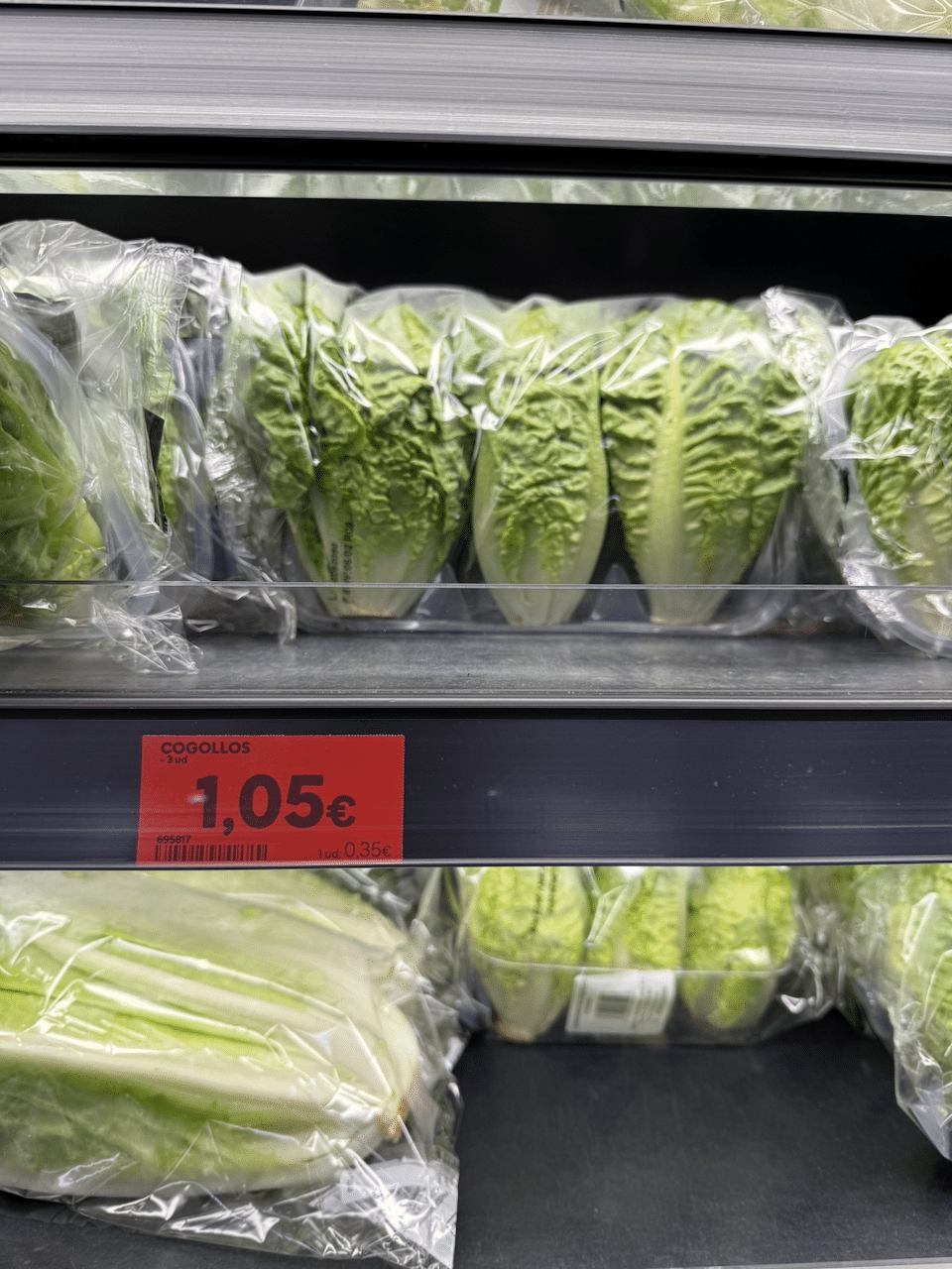 Romaine Lettuce - V