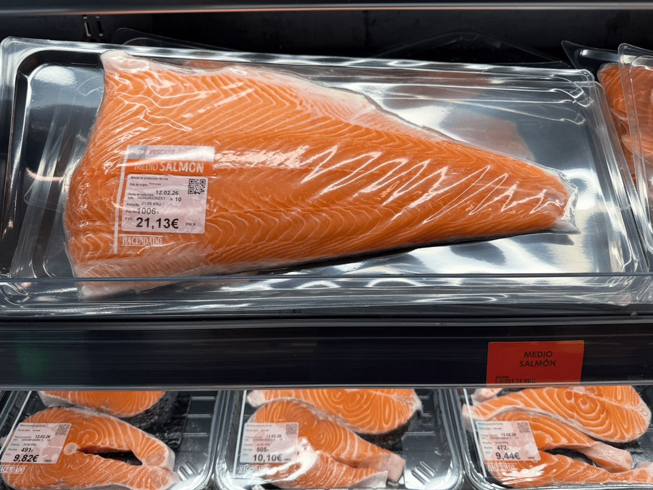 Fresh Salmon - V