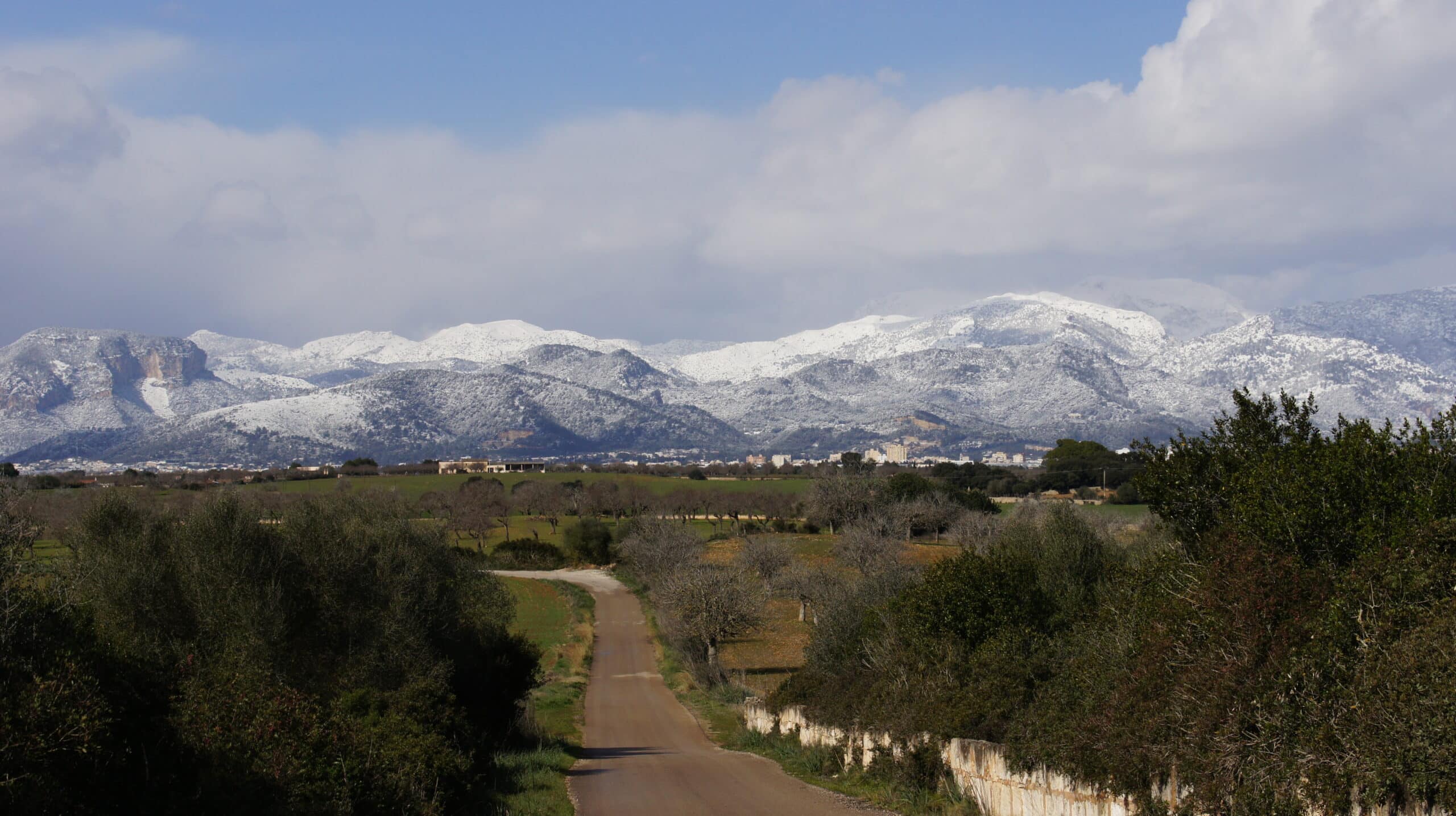 By mateu mulet, CC BY 3.0, https://commons.wikimedia.org/w/index.php?curid=54582830