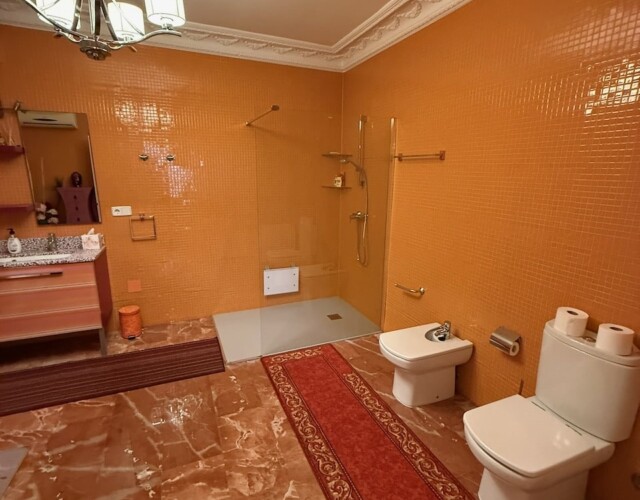 Lower level master bath