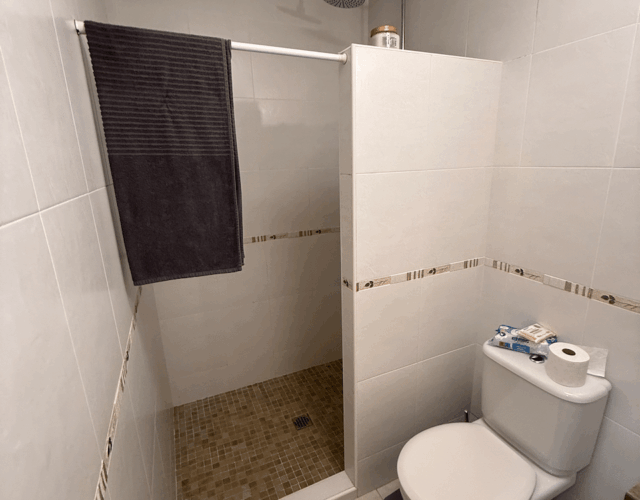 Downstairs bath