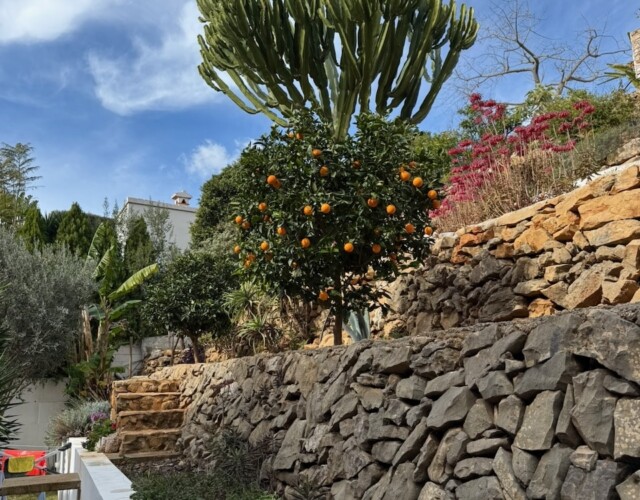 Terraced wall at back of home.